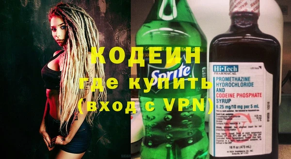 шишки Дмитриев