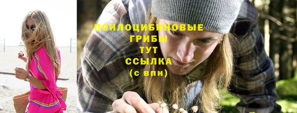 марки lsd Гусиноозёрск