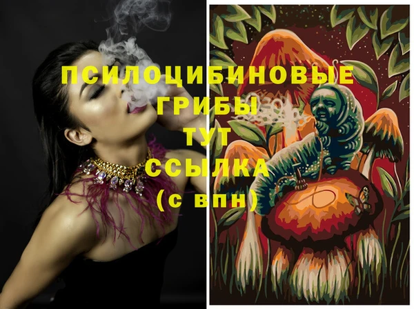 метадон Гусь-Хрустальный