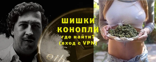 метадон Гусь-Хрустальный
