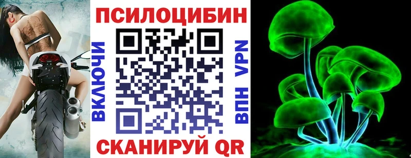 Псилоцибиновые грибы Psilocybine cubensis  Омск 